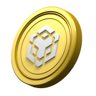 Sección informativa de la plataforma con moneda decorativa de BNB
