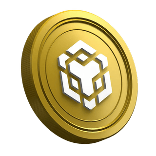 Guía para traders principiantes sobre la criptomoneda BNB, vista de página